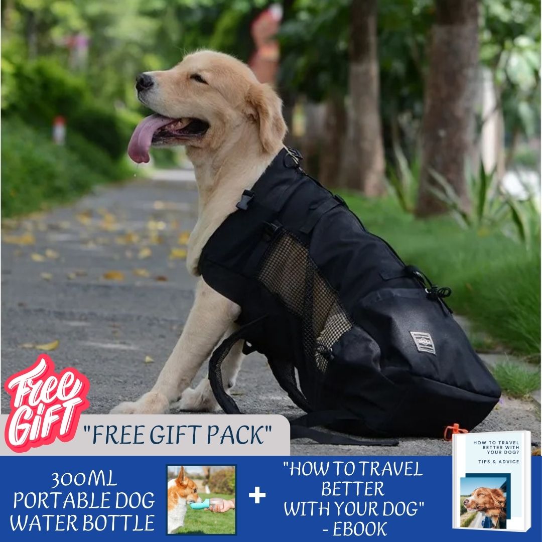 BuddyRider™ | Dog Backpack