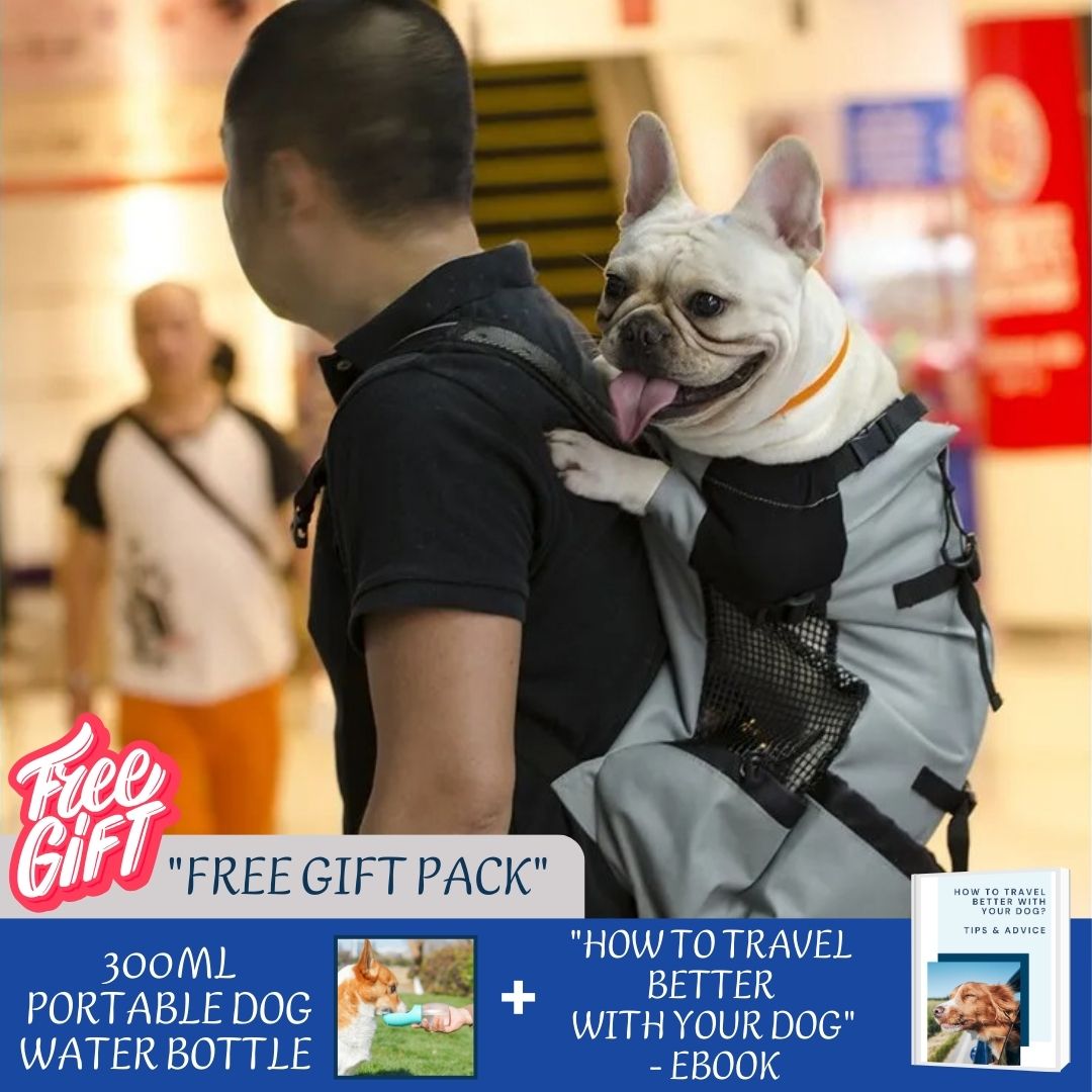 BuddyRider™ | Dog Backpack