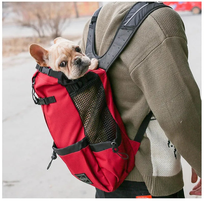 BuddyRider™ | Dog Backpack