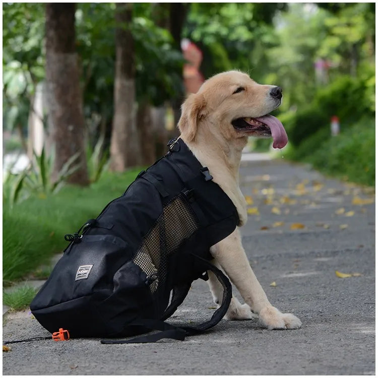 BuddyRider™ | Dog Backpack