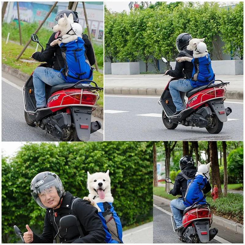 BuddyRider™ | Dog Backpack