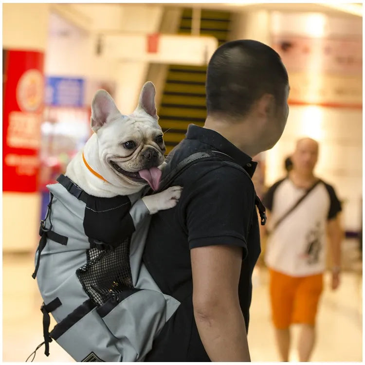 BuddyRider™ | Dog Backpack