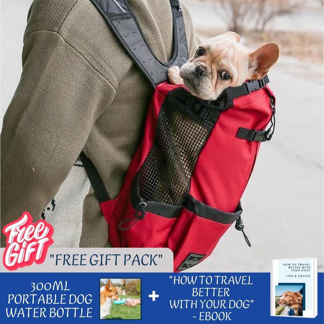 BuddyRider™ | Dog Backpack