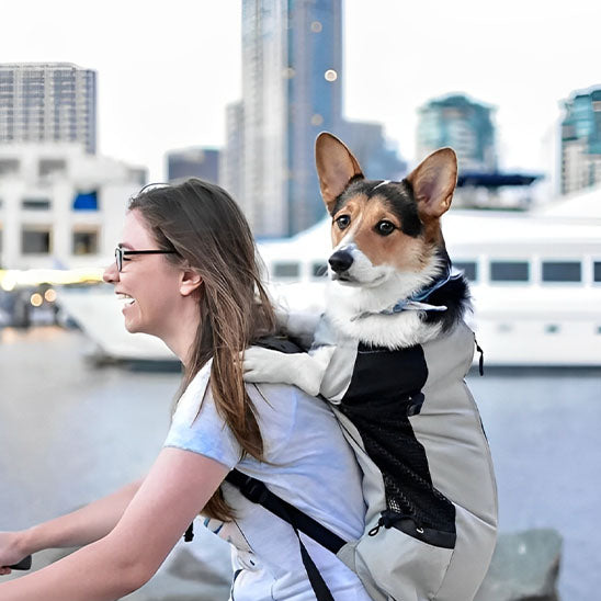 BuddyRider™ | Dog Backpack